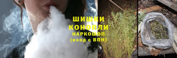 ГАЛЛЮЦИНОГЕННЫЕ ГРИБЫ Абаза