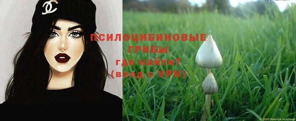 ECSTASY Алексин