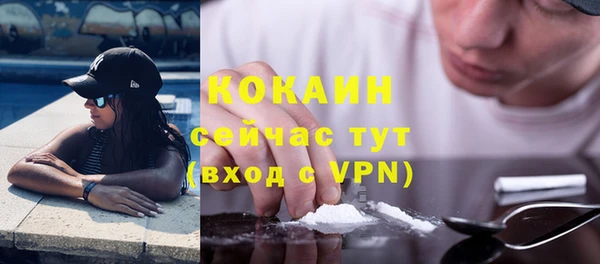 ГАЛЛЮЦИНОГЕННЫЕ ГРИБЫ Абаза