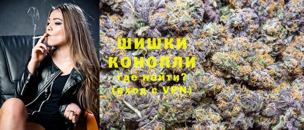 шишки Алзамай
