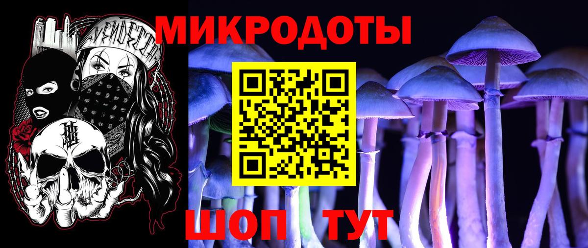 Шахты  Псилоцибиновые грибы Magic Shrooms  Вход с VPN  цены наркотик  Галлюциногенные грибы мицелий 