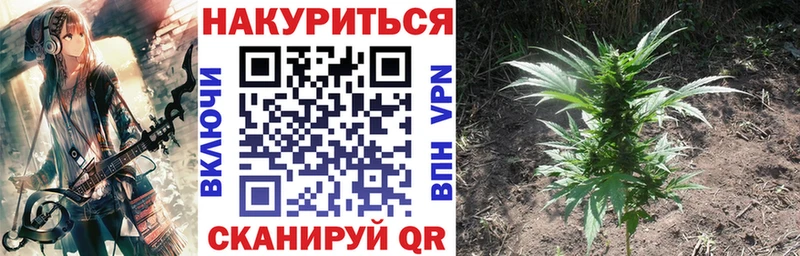 купить наркоту Шахты дарк нет телеграм Бошки Шишки гибрид
